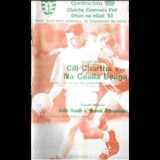 1993 County Senior Final Programme Snips