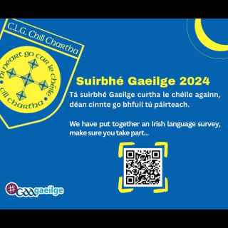 Gaeilge Survey 